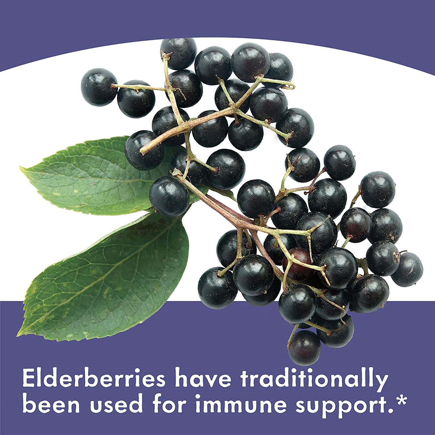 อาหารเสริม sambucus elderberry ยี่ห้อที่ขายดีเป็นอันดับที่ 1 ของอเมริกา