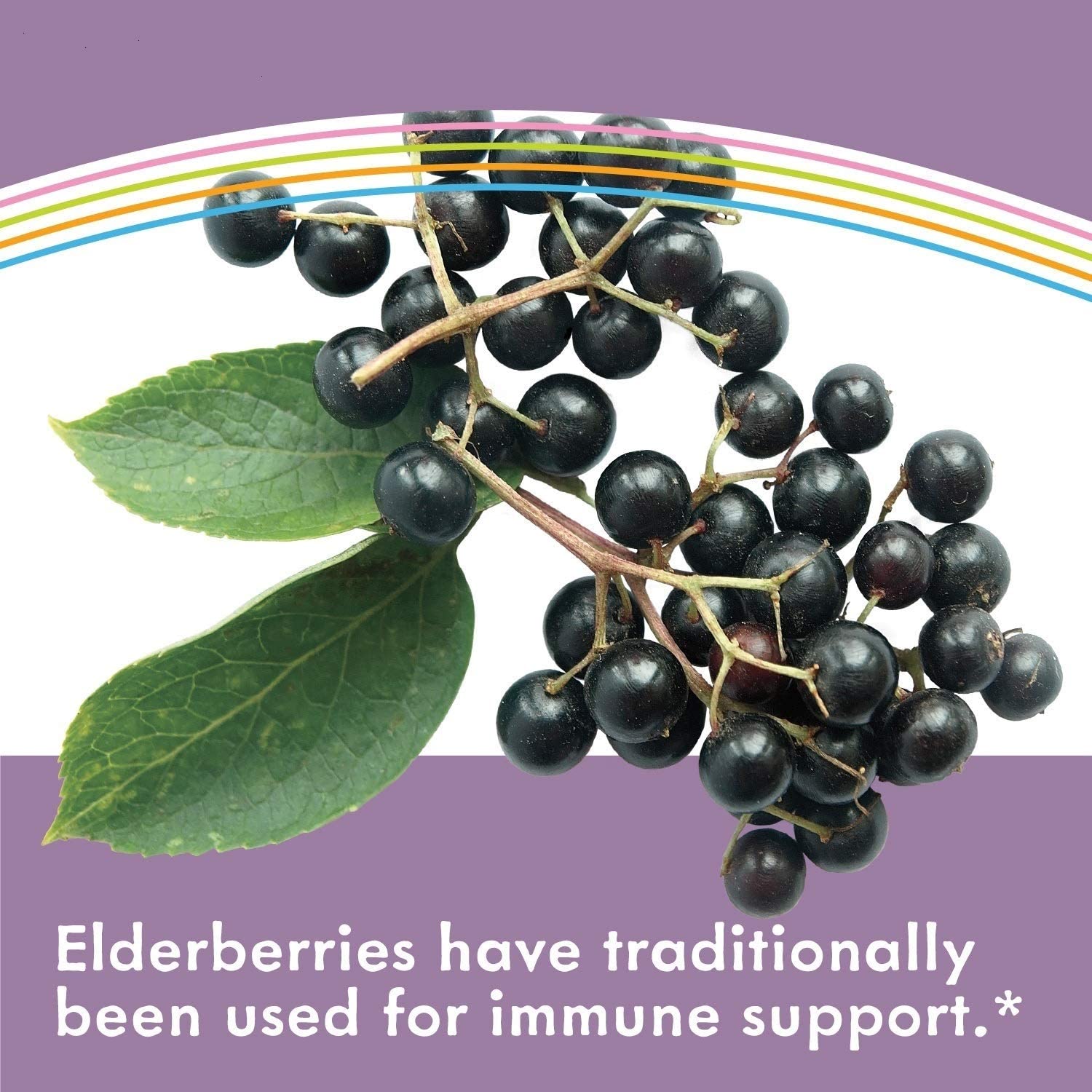 อาหารเสริม sambucus elderberry ยี่ห้อที่ไหนดีเป็นอันดับที่ 4 ของอเมริกา