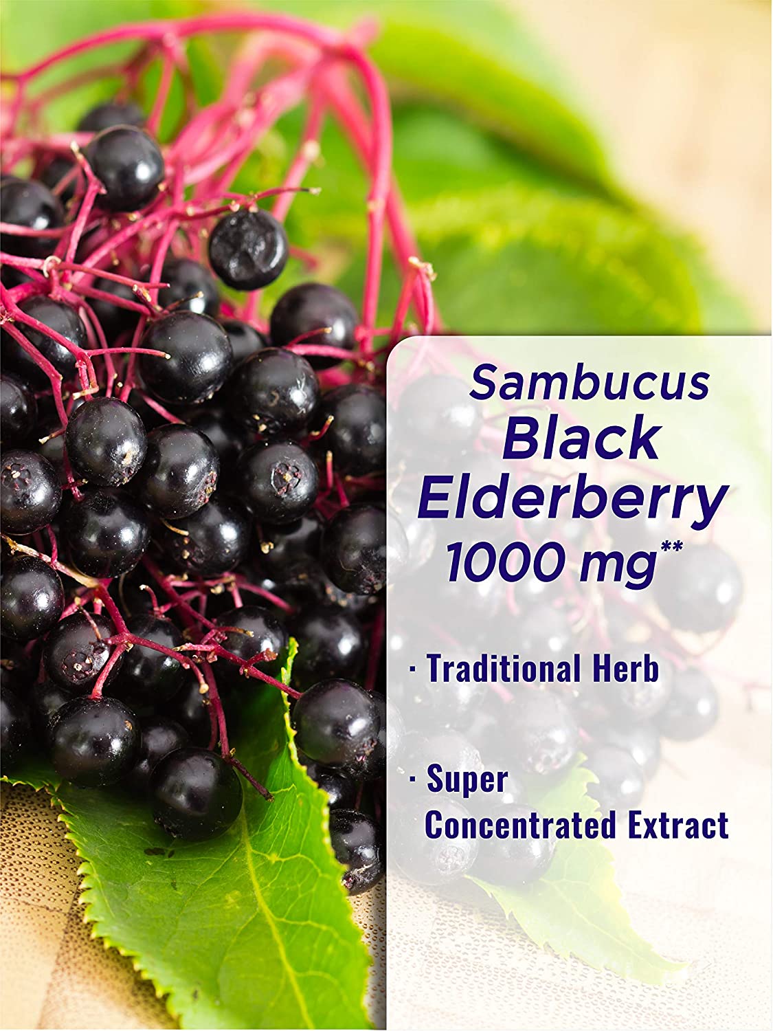 อาหารเสริม sambucus elderberry ยี่ห้อที่ไหนดีเป็นอันดับที่ 6 ของอเมริกา